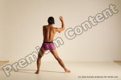 Elmer - Traditional Korean Art